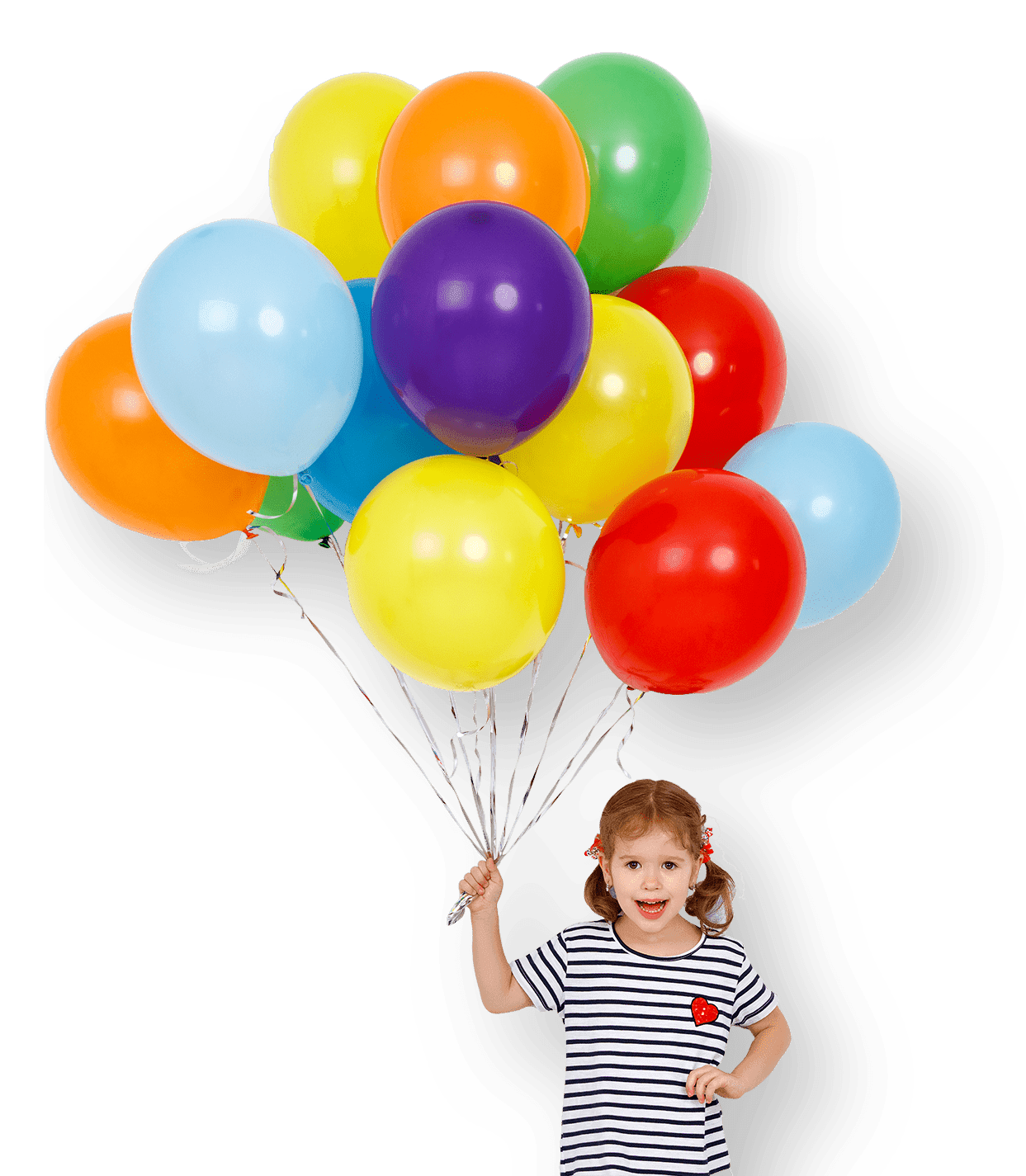 everts-pol banner-min-min